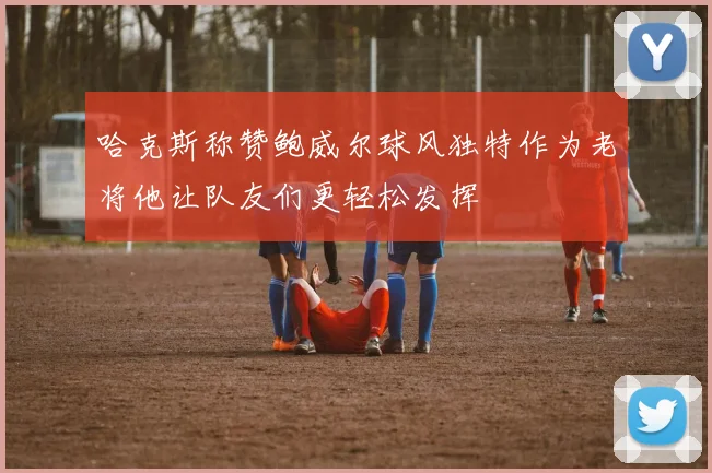 哈克斯称赞鲍威尔球风独特作为老将他让队友们更轻松发挥